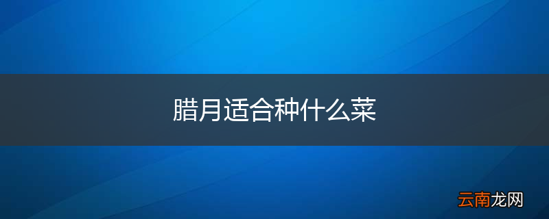腊月适合种什么菜