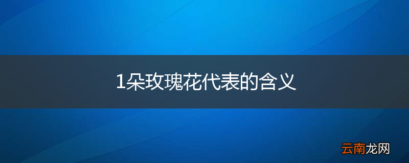 1朵玫瑰花代表的含义