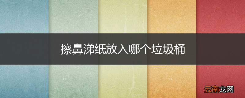 擦鼻涕纸放入哪个垃圾桶