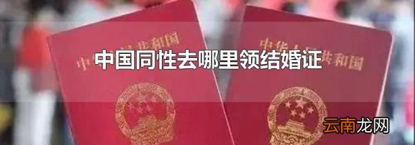 中国同性去哪里领结婚证