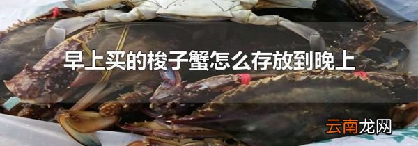 早上买的梭子蟹怎么存放到晚上