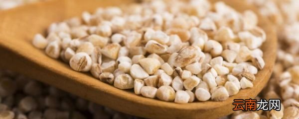 大薏米和小薏米的区别 怎样区分大薏米与小薏米