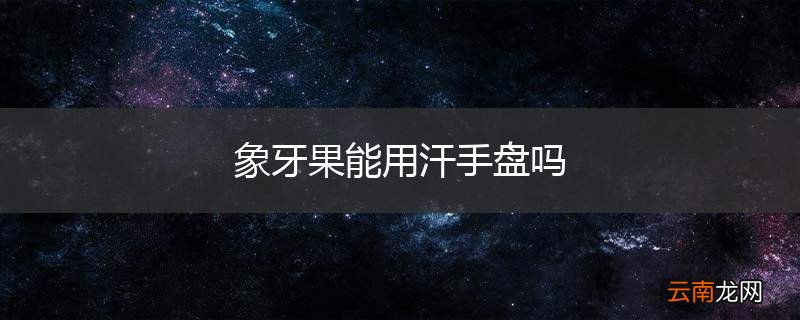象牙果能用汗手盘吗