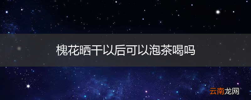 槐花晒干以后可以泡茶喝吗