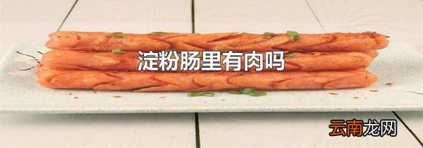 淀粉肠里有肉吗