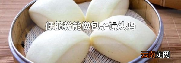 低筋粉能做包子馒头吗