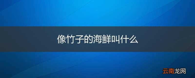 像竹子的海鲜叫什么