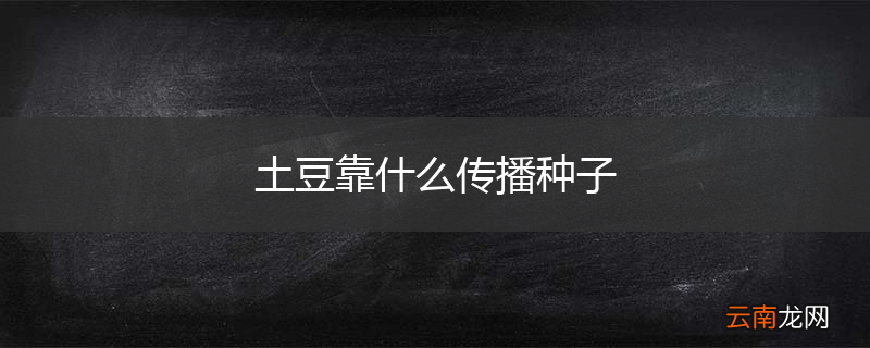 土豆靠什么传播种子