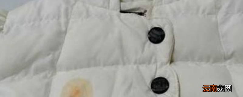 羽绒服能用水洗吗
