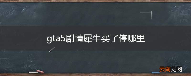 gta5剧情犀牛买了停哪里