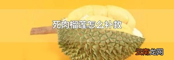 死肉榴莲怎么补救