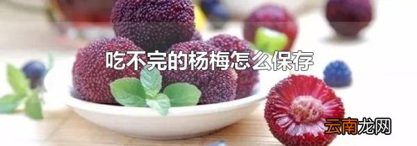 吃不完的杨梅怎么保存