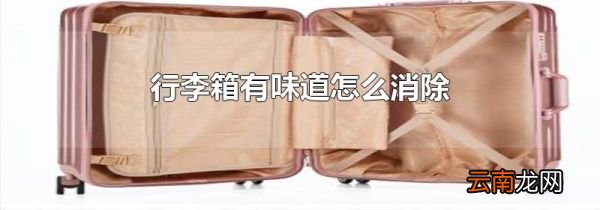 行李箱有味道怎么消除