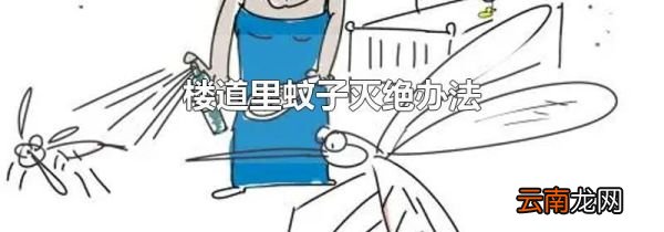 楼道里蚊子灭绝办法