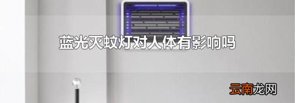 蓝光灭蚊灯对人体有影响吗
