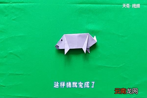猪怎么折