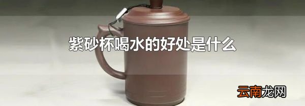 紫砂杯喝水的好处是什么