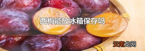 西梅能放冰箱保存吗