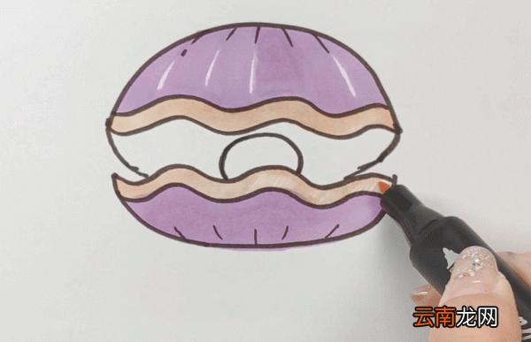 贝壳简笔画