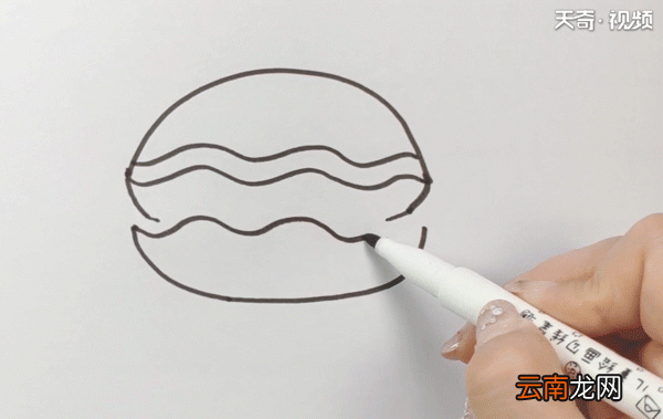 贝壳简笔画