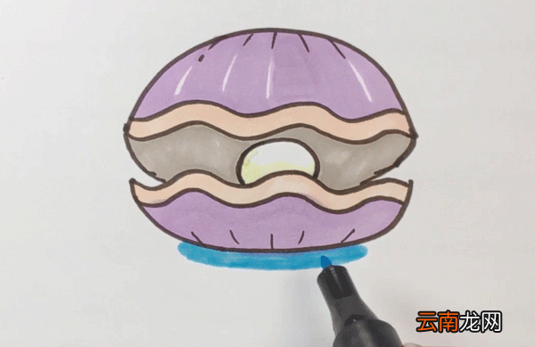 贝壳简笔画