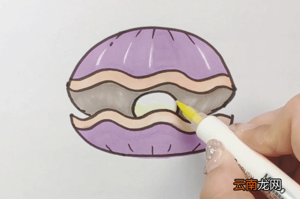 贝壳简笔画