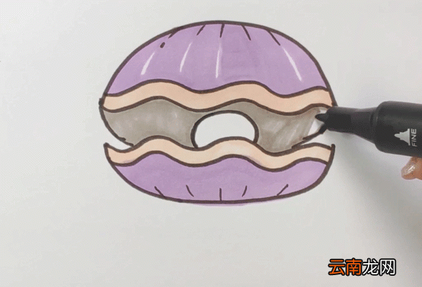 贝壳简笔画