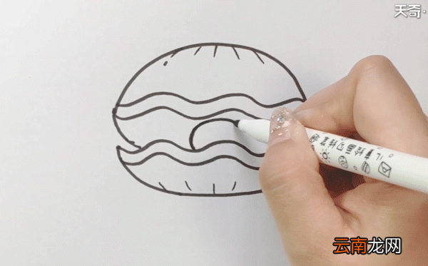 贝壳简笔画