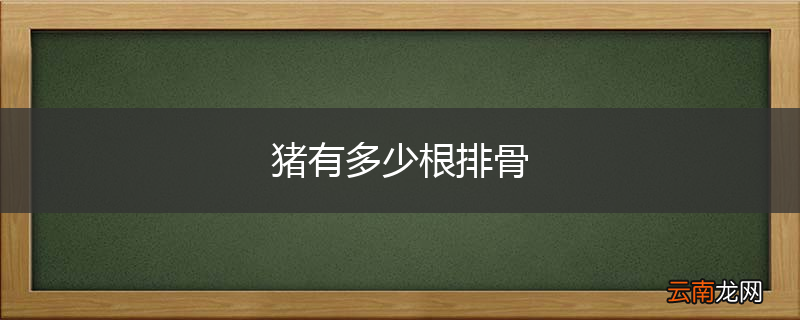 猪有多少根排骨