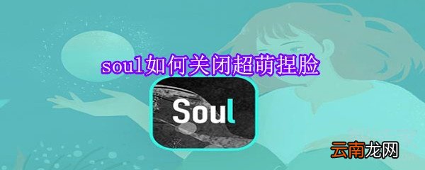 soul如何关闭超萌捏脸