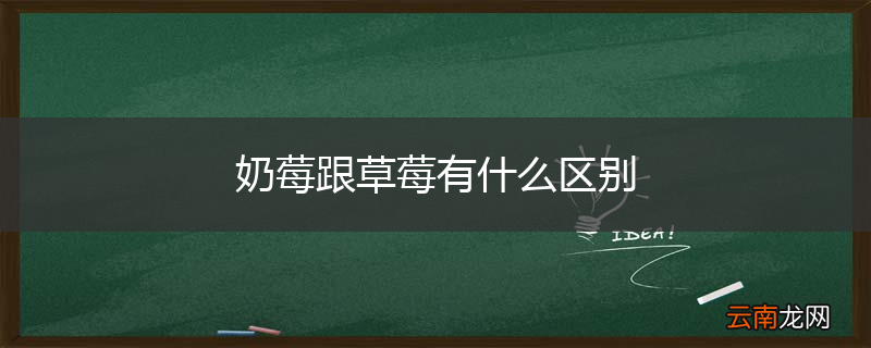 奶莓跟草莓有什么区别