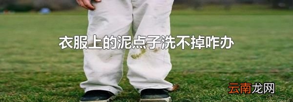 衣服上的泥点子洗不掉咋办