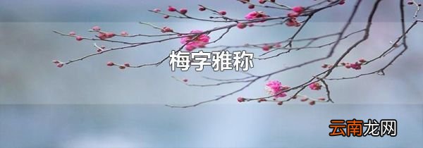 梅字雅称