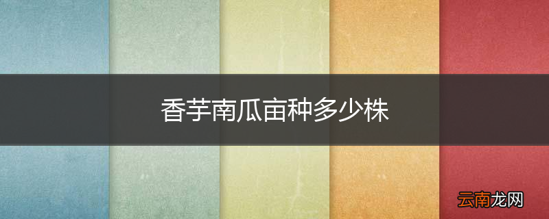 香芋南瓜亩种多少株