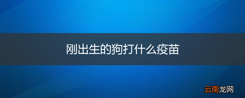 刚出生的狗打什么疫苗