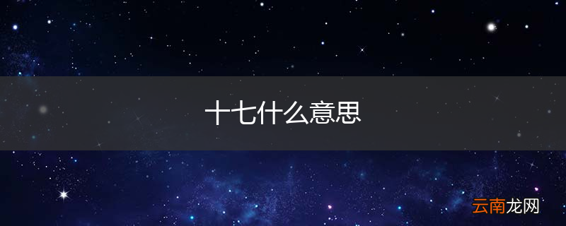 十七什么意思