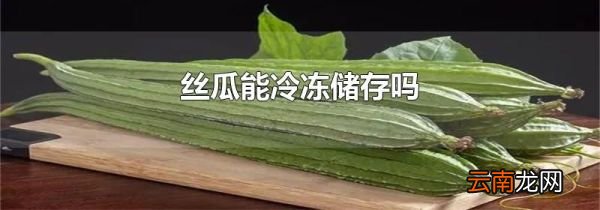 丝瓜能冷冻储存吗