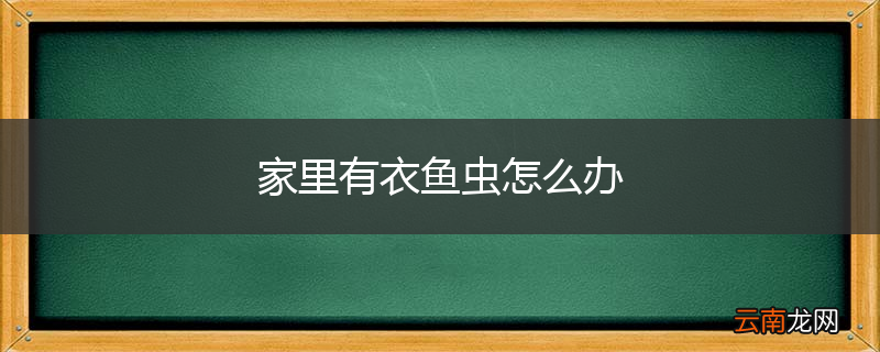 家里有衣鱼虫怎么办