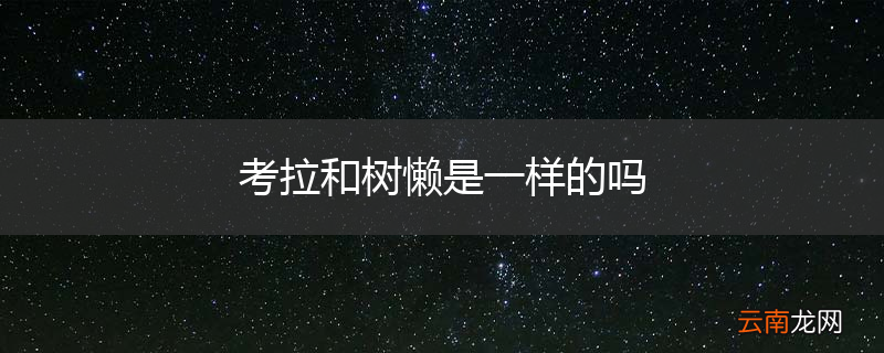考拉和树懒是一样的吗