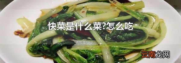 快菜是什么菜?怎么吃