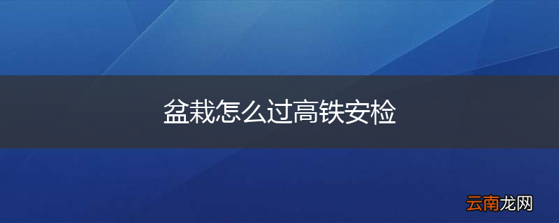 盆栽怎么过高铁安检