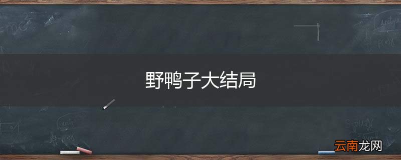 野鸭子大结局