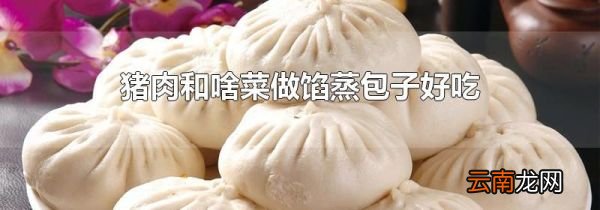 猪肉和啥菜做馅蒸包子好吃