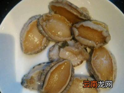 清洗好的鲍鱼怎样保存