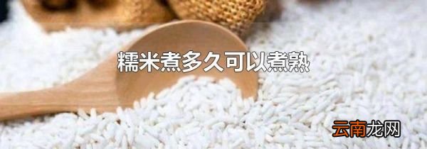 糯米煮多久可以煮熟