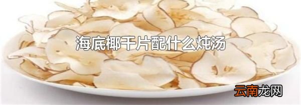 海底椰干片配什么炖汤