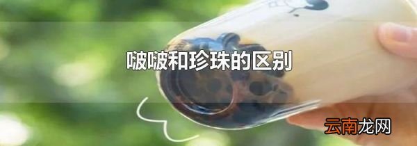 啵啵和珍珠的区别