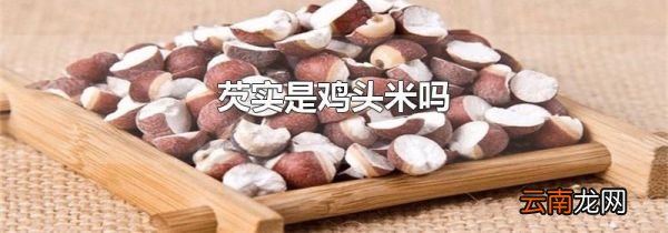芡实是鸡头米吗