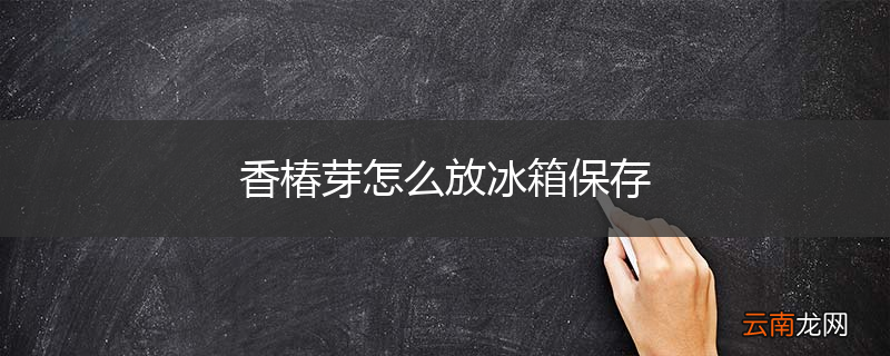 香椿芽怎么放冰箱保存