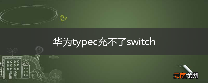 华为typec充不了switch
